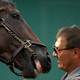 Image for article titled American Pharoah, Welcome To The Resistance (Or Maybe Not)